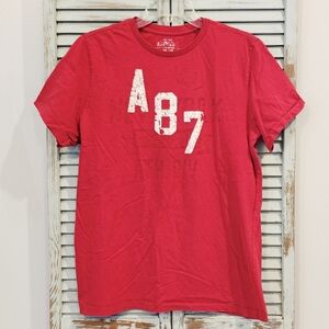 VINTAGE ORIGINAL AEROPOSTALE DISTRESSED CLASSIC T SHIRT Men XL Streetwear Skater